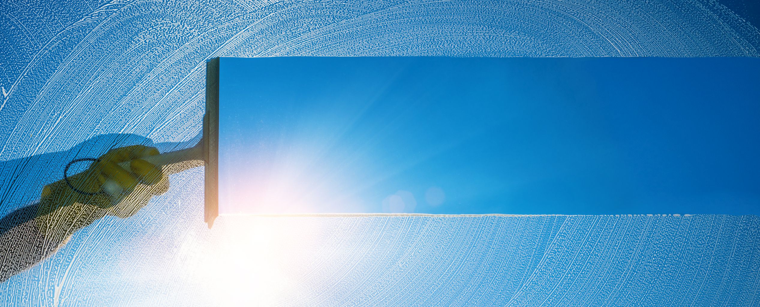 Window Cleaning Service